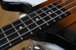 画像10: Gibson Thunderbird with Vintage Maniacs 76建国記念トリコロールカラー・バード・ピックガード (10)