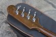 画像10: Gibson Thunderbird Vintage Maniacs Tune-up 「76 Professional」 (10)