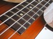 画像13: Gibson Thunderbird Vintage Maniacs Tune-up 「76 Professional」 (13)